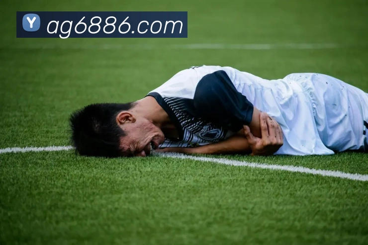 ag百家乐平台生态图